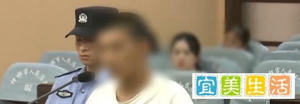 正义之光：刘涛案件背后的法律与道德边界