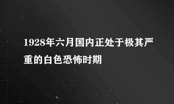 1928年六月国内正处于极其严重的白色恐怖时期