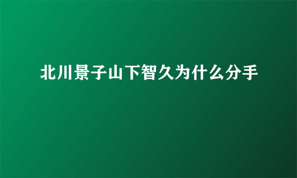 北川景子山下智久为什么分手