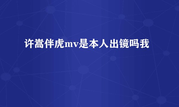 许嵩伴虎mv是本人出镜吗我
