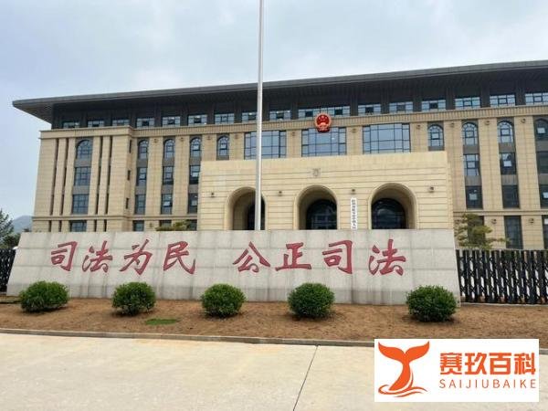 牟林翰虐待案一审宣判,主审法官回应案件五大焦点!