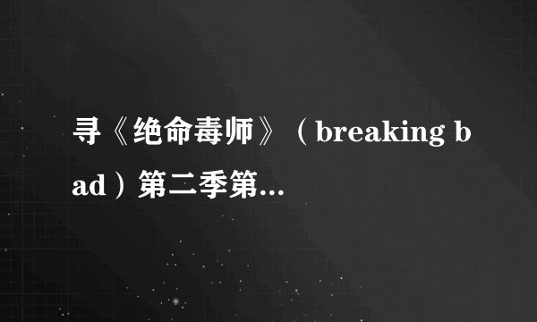 寻《绝命毒师》（breaking bad）第二季第9集插曲歌名及演唱者