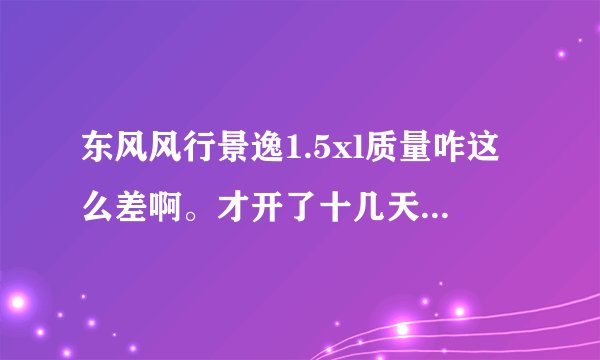 东风风行景逸1.5xl质量咋这么差啊。才开了十几天。去售后去了六趟，毛病太多了