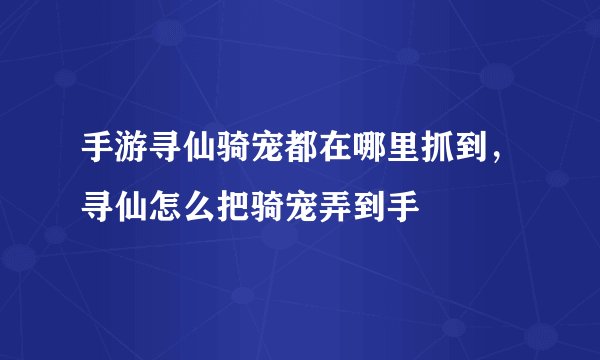 手游寻仙骑宠都在哪里抓到，寻仙怎么把骑宠弄到手