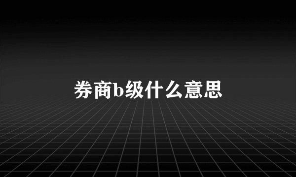 券商b级什么意思