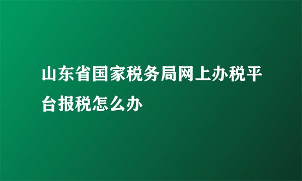山东省国家税务局网上办税平台报税怎么办