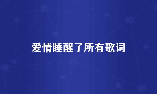 爱情睡醒了所有歌词
