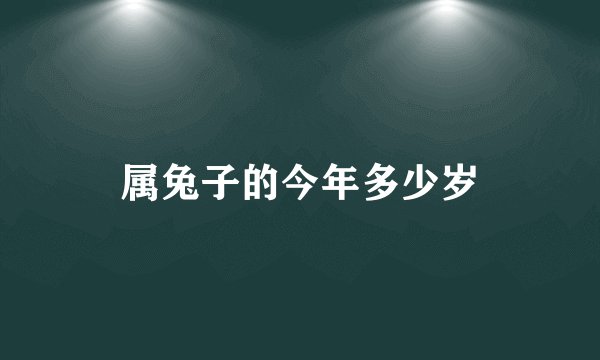 属兔子的今年多少岁