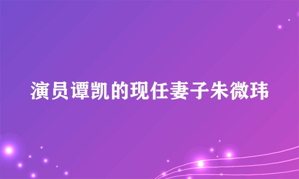 演员谭凯的现任妻子朱微玮