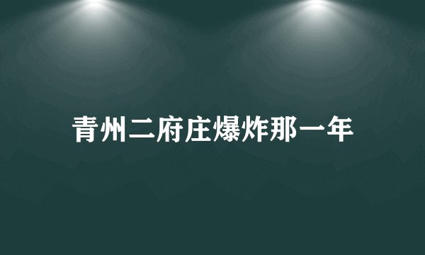 青州二府庄爆炸那一年