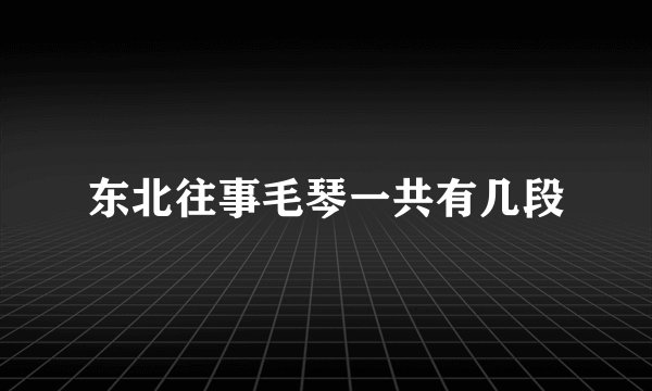 东北往事毛琴一共有几段