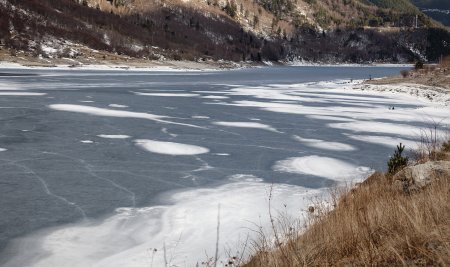 frozen是什么意思