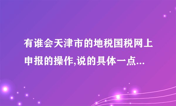 有谁会天津市的地税国税网上申报的操作,说的具体一点,还有申报的