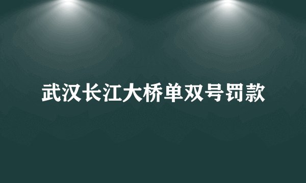 武汉长江大桥单双号罚款