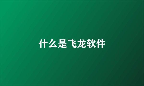 什么是飞龙软件