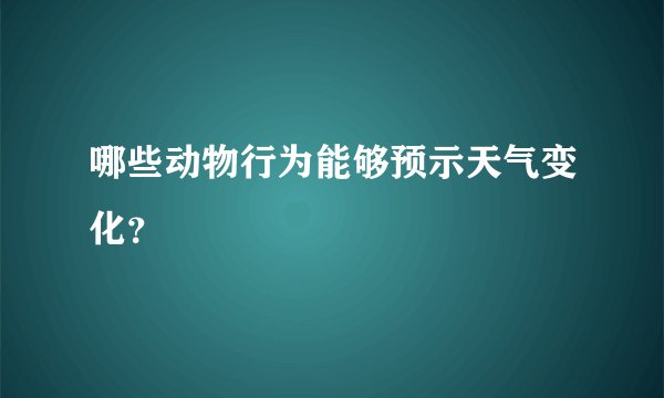哪些动物行为能够预示天气变化？