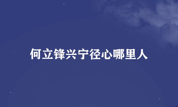 何立锋兴宁径心哪里人