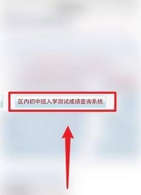 新疆内初班考试成绩怎么查询