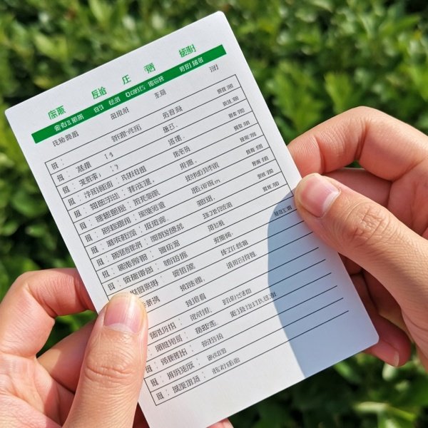 邯郸大学分数线