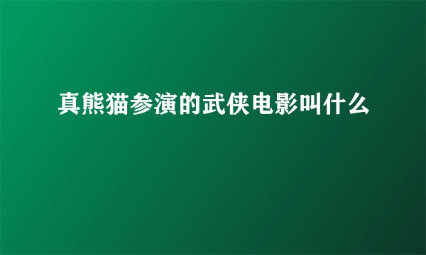真熊猫参演的武侠电影叫什么