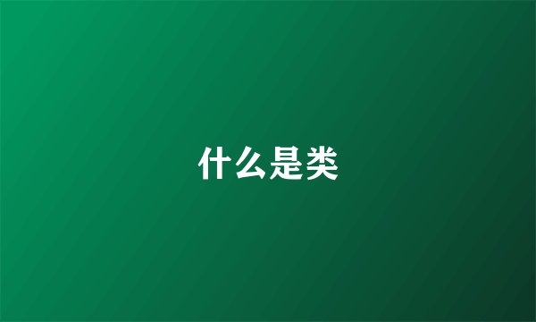 什么是类