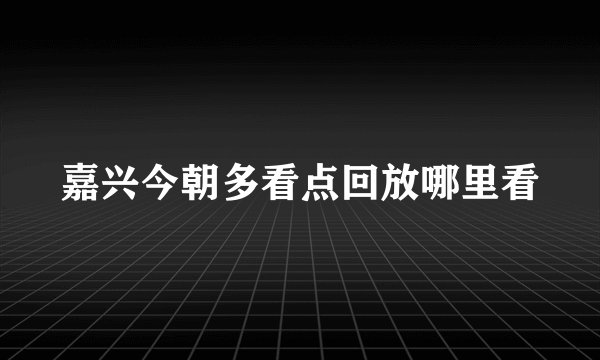 嘉兴今朝多看点回放哪里看