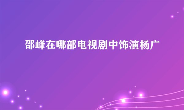 邵峰在哪部电视剧中饰演杨广