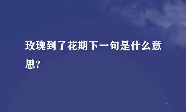 玫瑰到了花期下一句是什么意思?
