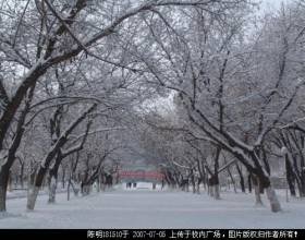 穷山沟里来的篮球之神的小说内容简介：