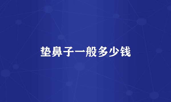 垫鼻子一般多少钱