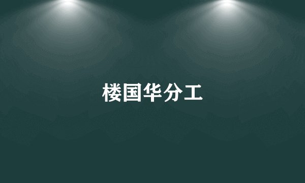 楼国华分工
