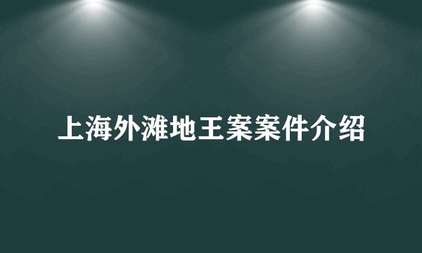 上海外滩地王案案件介绍