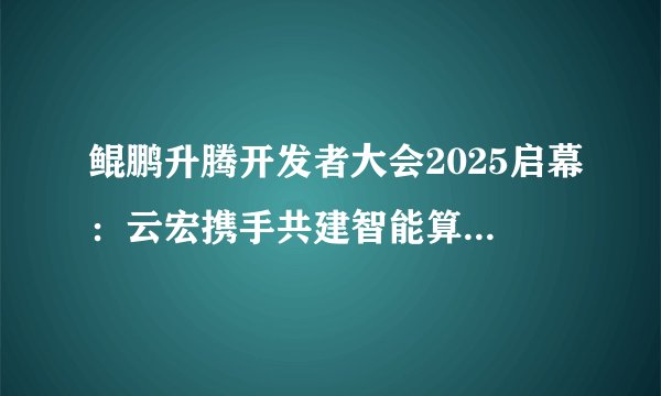鲲鹏升腾开发者大会2025启幕：云宏携手共建智能算力新生态​