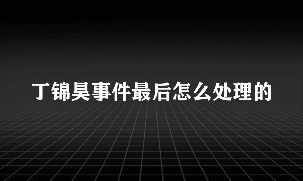 丁锦昊事件最后怎么处理的