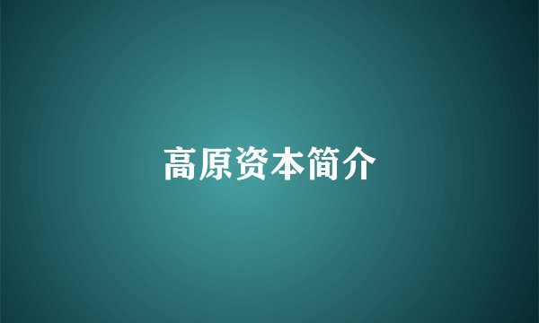高原资本简介