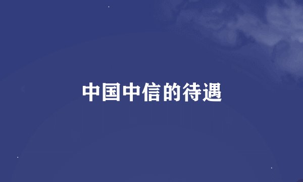 中国中信的待遇