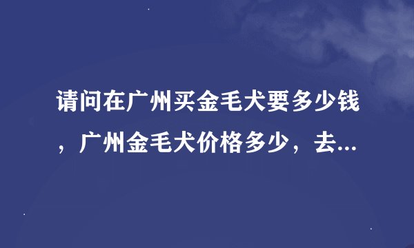 请问在广州买金毛犬要多少钱,广州金毛犬价格多少,去哪里买金毛犬好