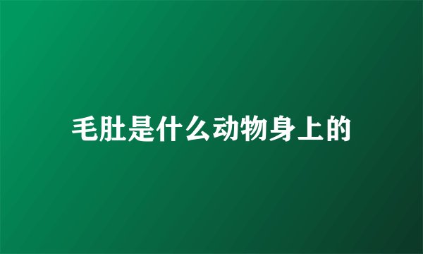毛肚是什么动物身上的