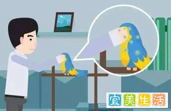 浙江女子围观宰鸭,十天后确诊鹦鹉热,这些人需警惕!