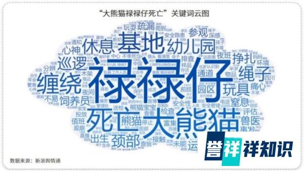 双胞胎大熊猫“顺顺溜溜”病亡,成都大熊猫基地成众矢之的