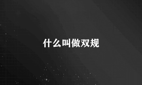 什么叫做双规