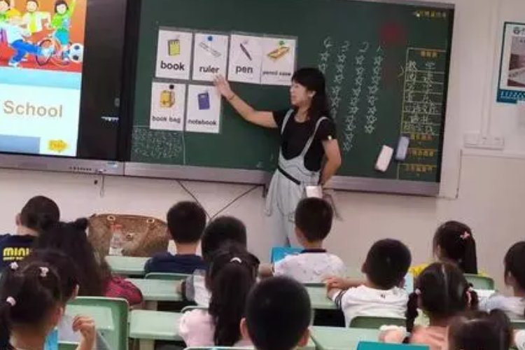 什么是queencard?