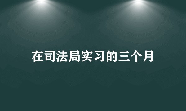 在司法局实习的三个月