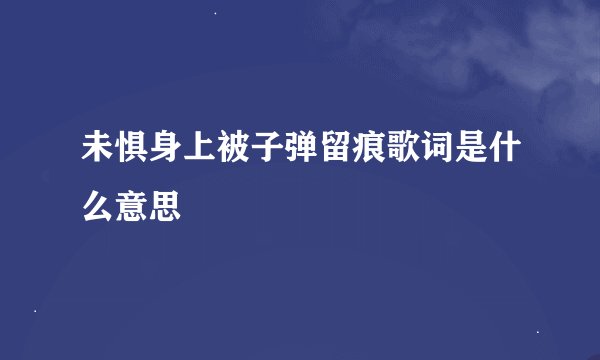 未惧身上被子弹留痕歌词是什么意思