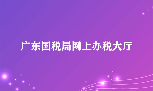 广东国税局网上办税大厅