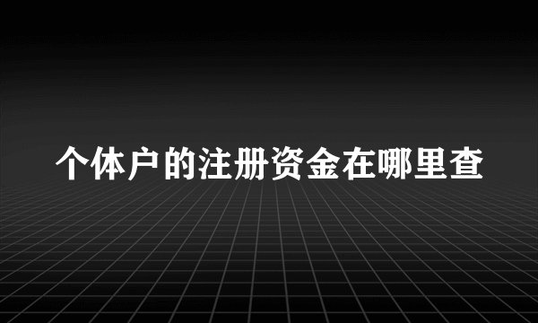 个体户的注册资金在哪里查