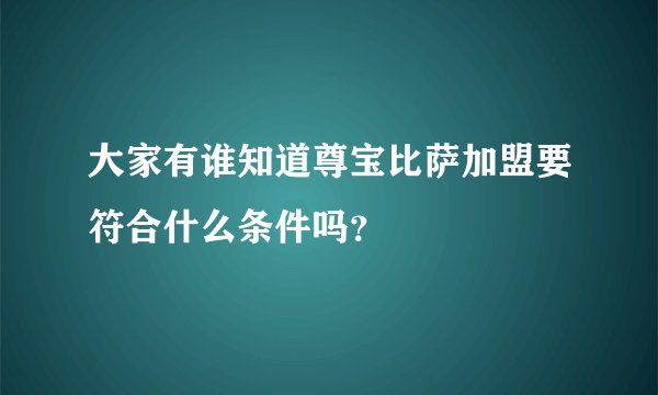 大家有谁知道尊宝比萨加盟要符合什么条件吗?