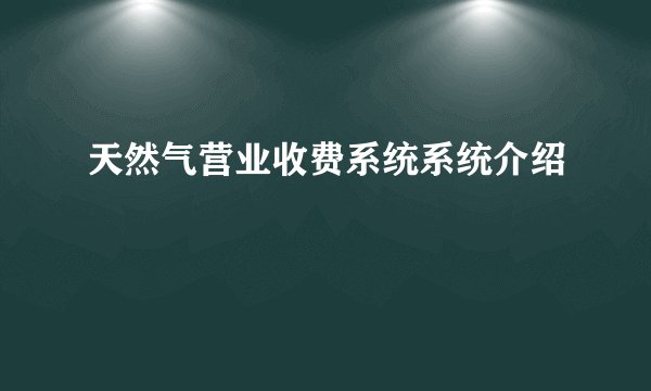 天然气营业收费系统系统介绍