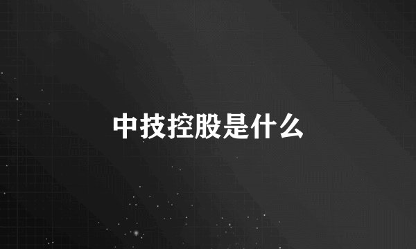中技控股是什么