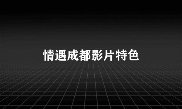 情遇成都影片特色